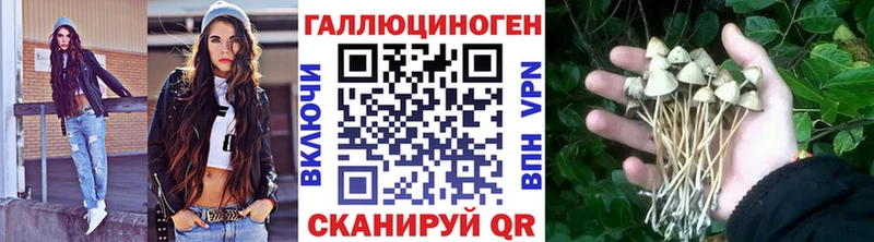 kraken онион  Краснокамск  Псилоцибиновые грибы MAGIC MUSHROOMS 